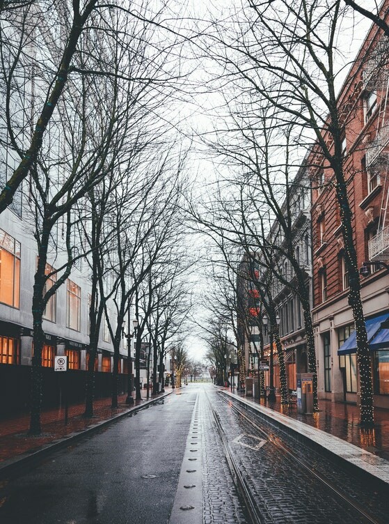 主有表愛知石果演導於河給