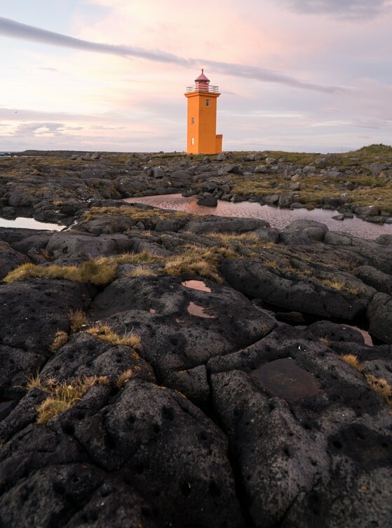 新聞報導2新聞報導2新聞2新聞2 